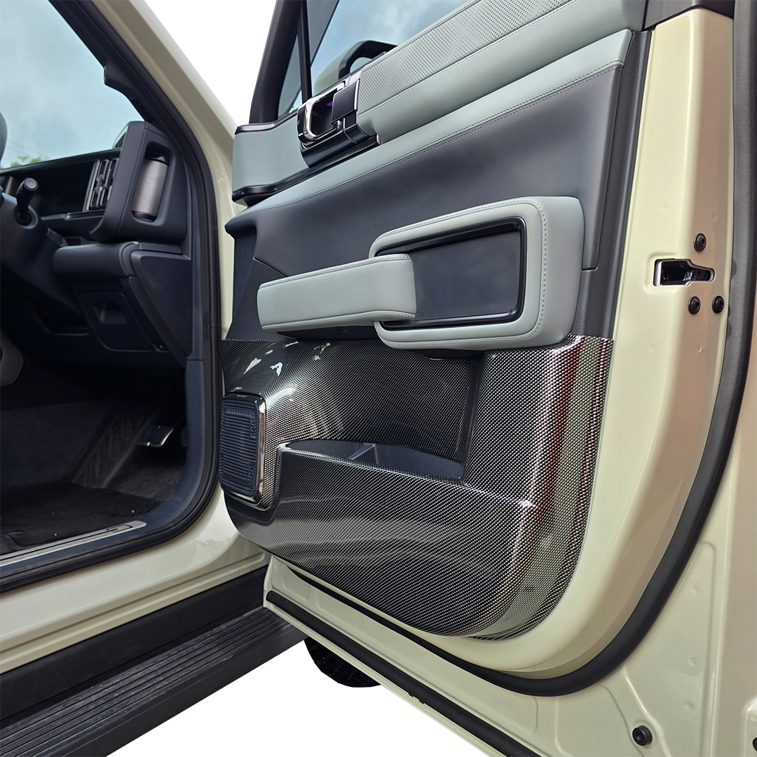 CARBON SERIES DOOR CARD SCUFF PROTECTORS DENZA B5 2026+
