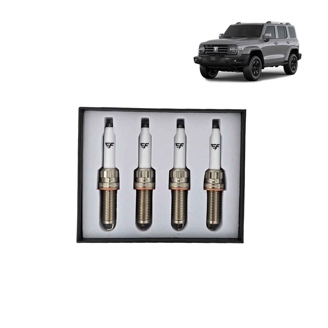 TANK 300 DOUBLE IRIDIUM SPARK PLUGS (4 PACK)