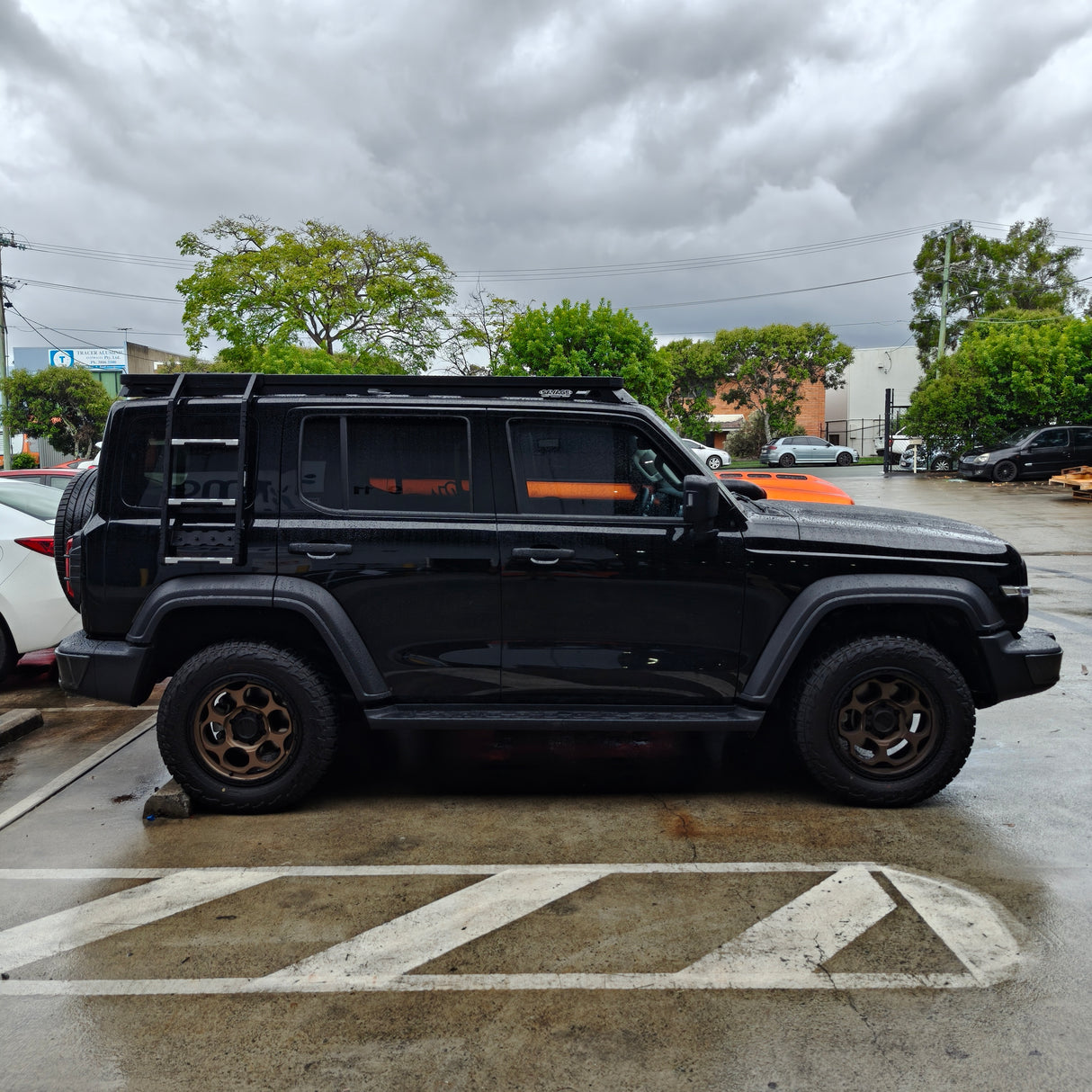 TANK 300 SAVAGE FULL LENGTH PLATFORM (PREMIUM RANGE)