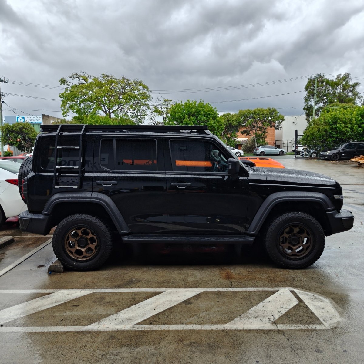 TANK 300 LADDER TO SUIT PREMIUM PLATFORM - Savage Tech Australia