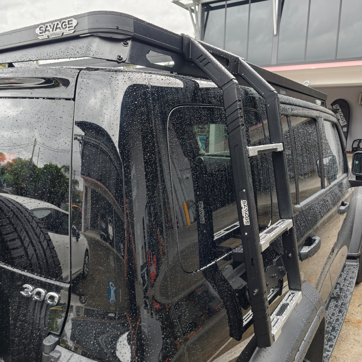 TANK 300 LADDER TO SUIT PREMIUM PLATFORM