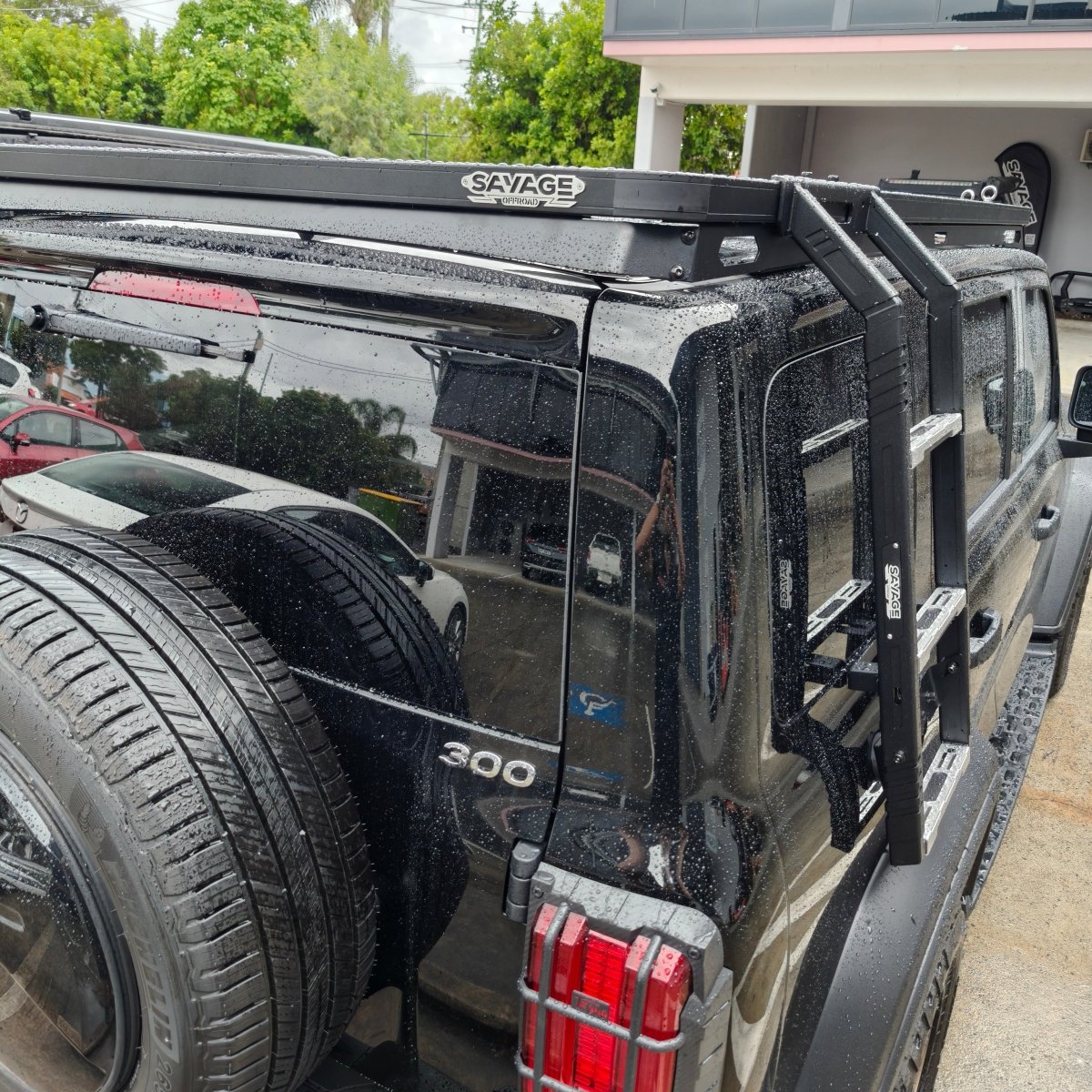 TANK 300 LADDER TO SUIT PREMIUM PLATFORM - Savage Tech Australia
