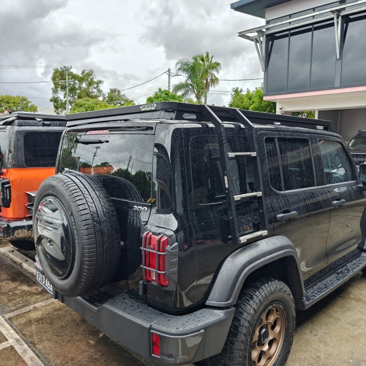 TANK 300 LADDER TO SUIT PREMIUM PLATFORM - Savage Tech Australia