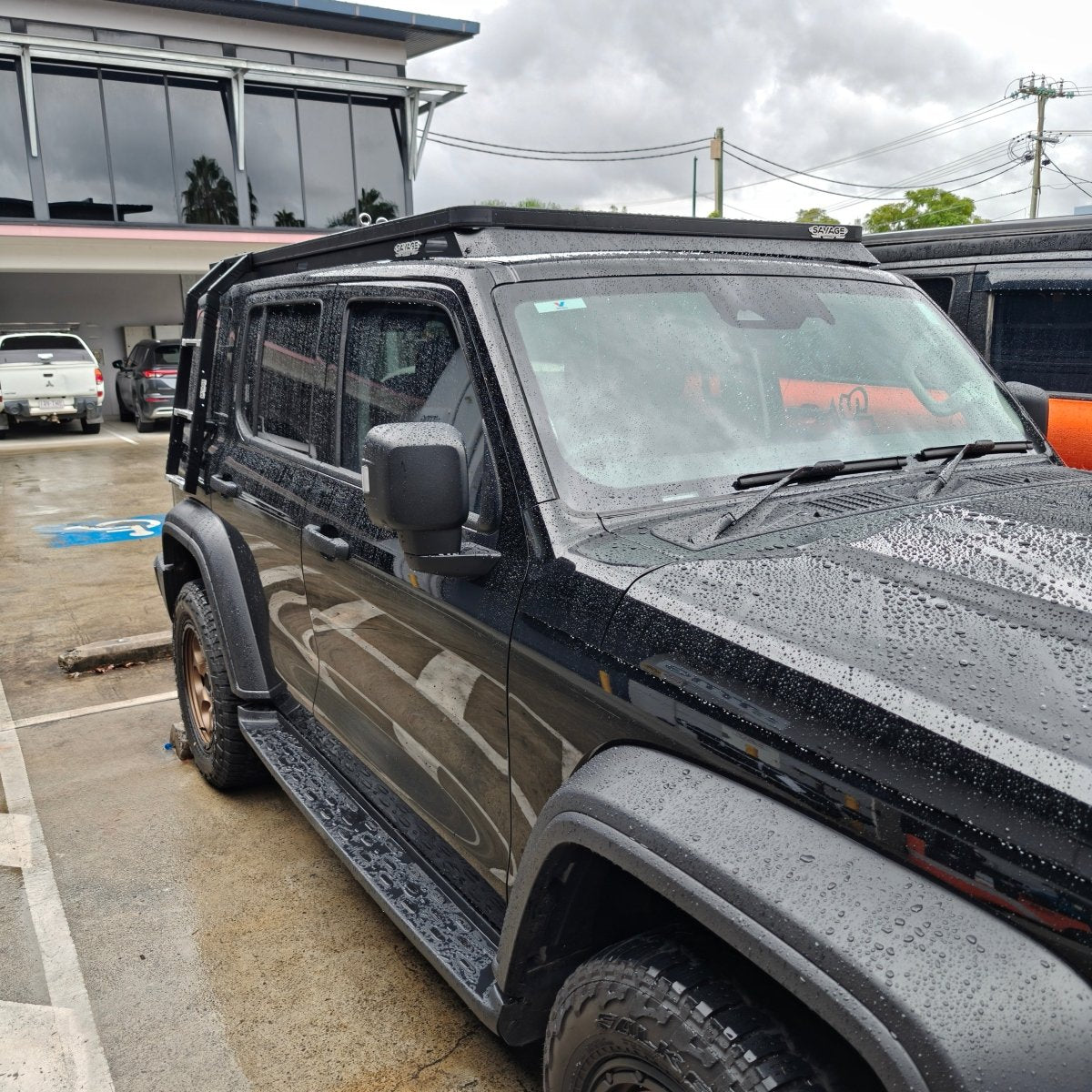 TANK 300 LADDER TO SUIT PREMIUM PLATFORM - Savage Tech Australia