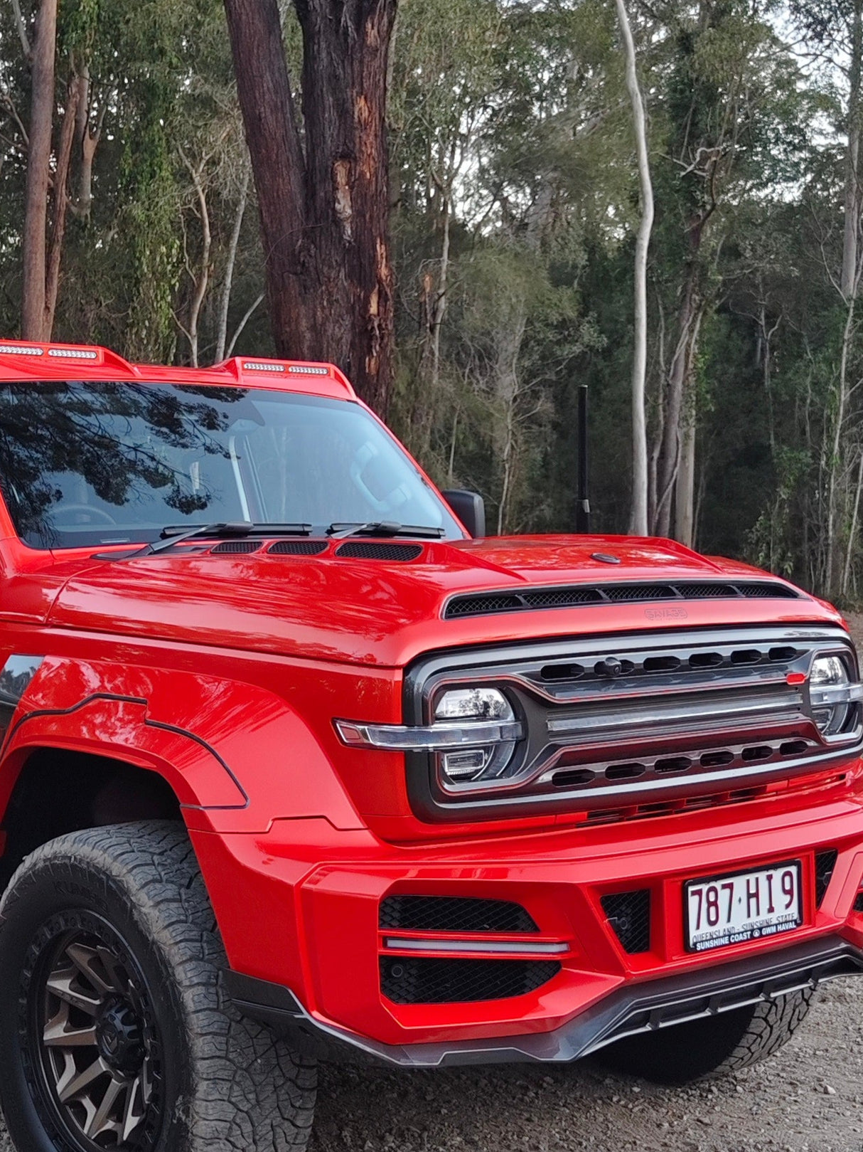 TANK 300 SHADOW BONNET