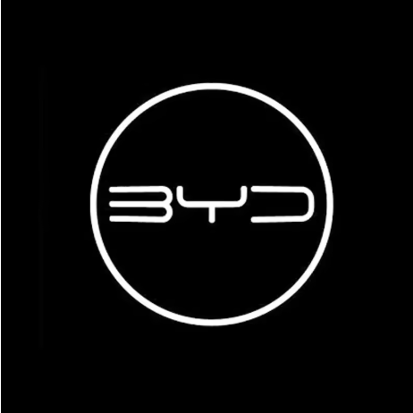 BYD PUDDLE DOOR LIGHTS