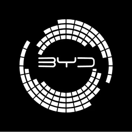 BYD PUDDLE DOOR LIGHTS