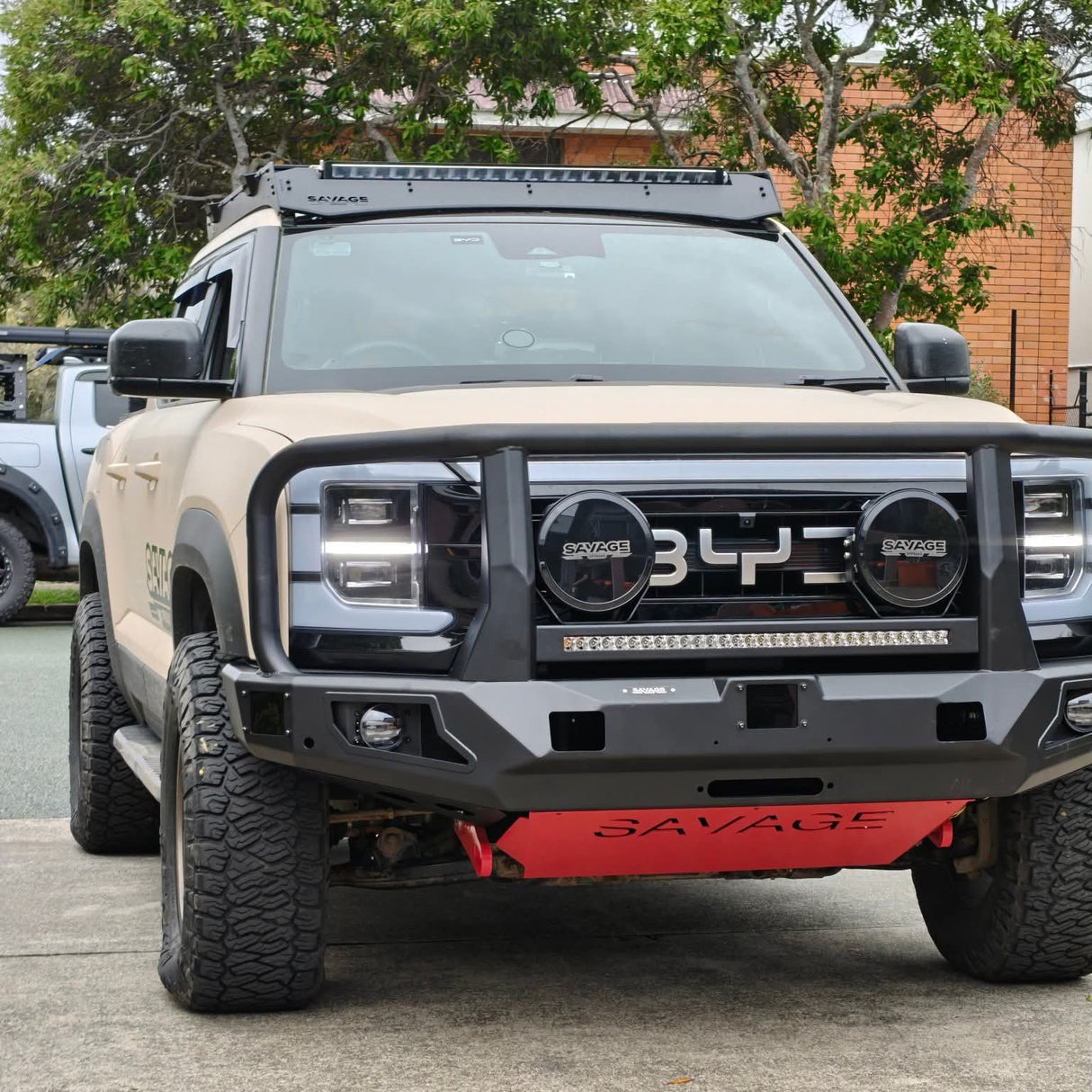 BYD SHARK 6 SAVAGE ATTACK HOOPED BULL BAR