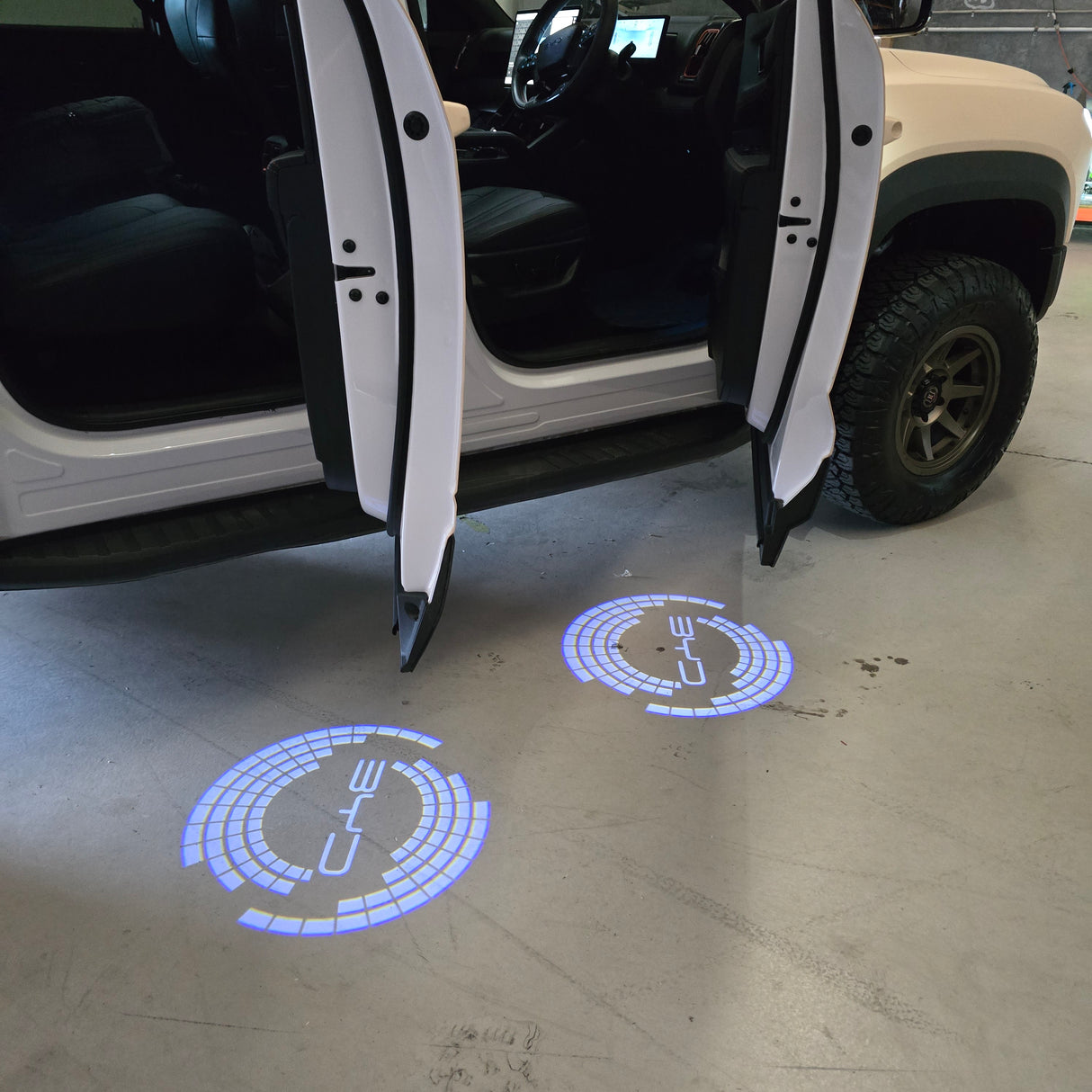 BYD PUDDLE DOOR LIGHTS