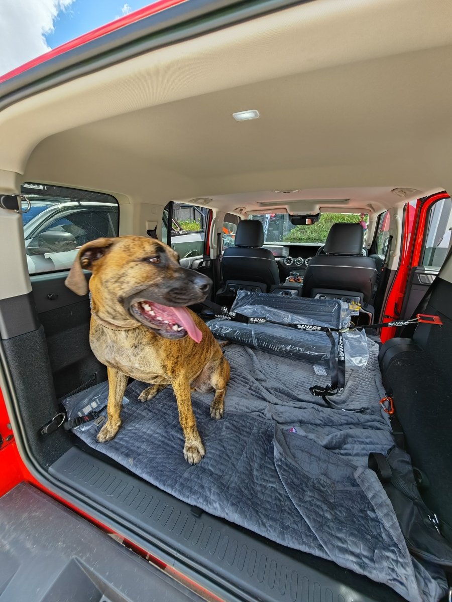 TANK 300 DOG CENTRE HARNESS - Savage Tech Australia