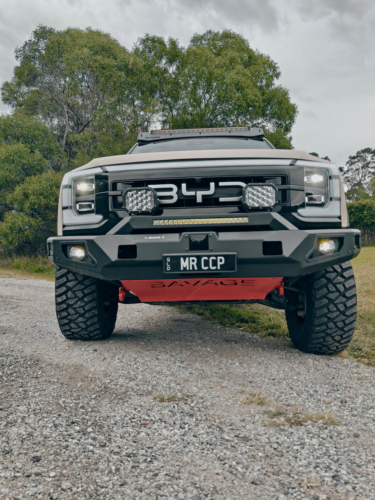 BYD SHARK 6 SAVAGE ATTACK HOOPLESS BAR