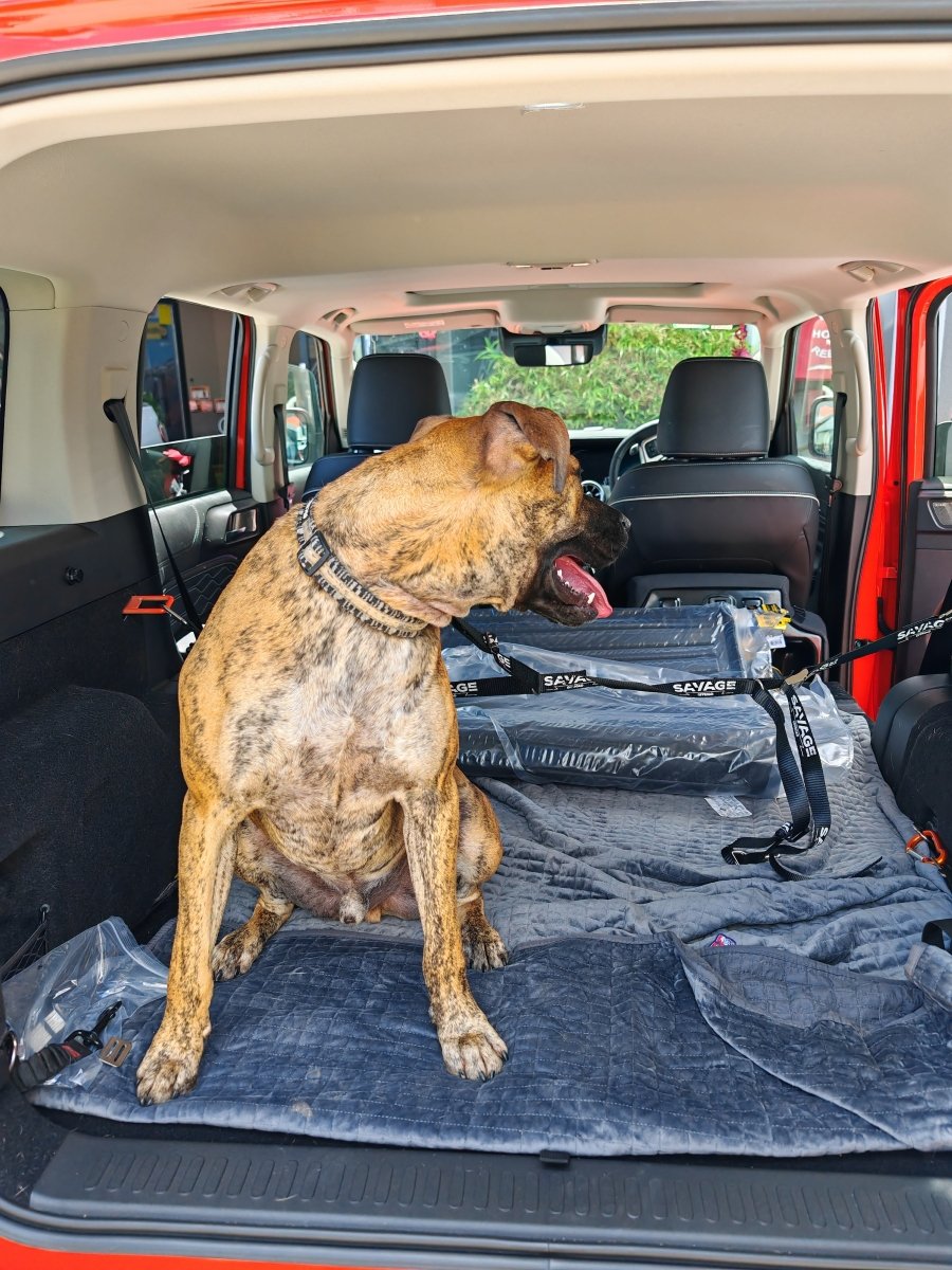 TANK 300 DOG CENTRE HARNESS - Savage Tech Australia