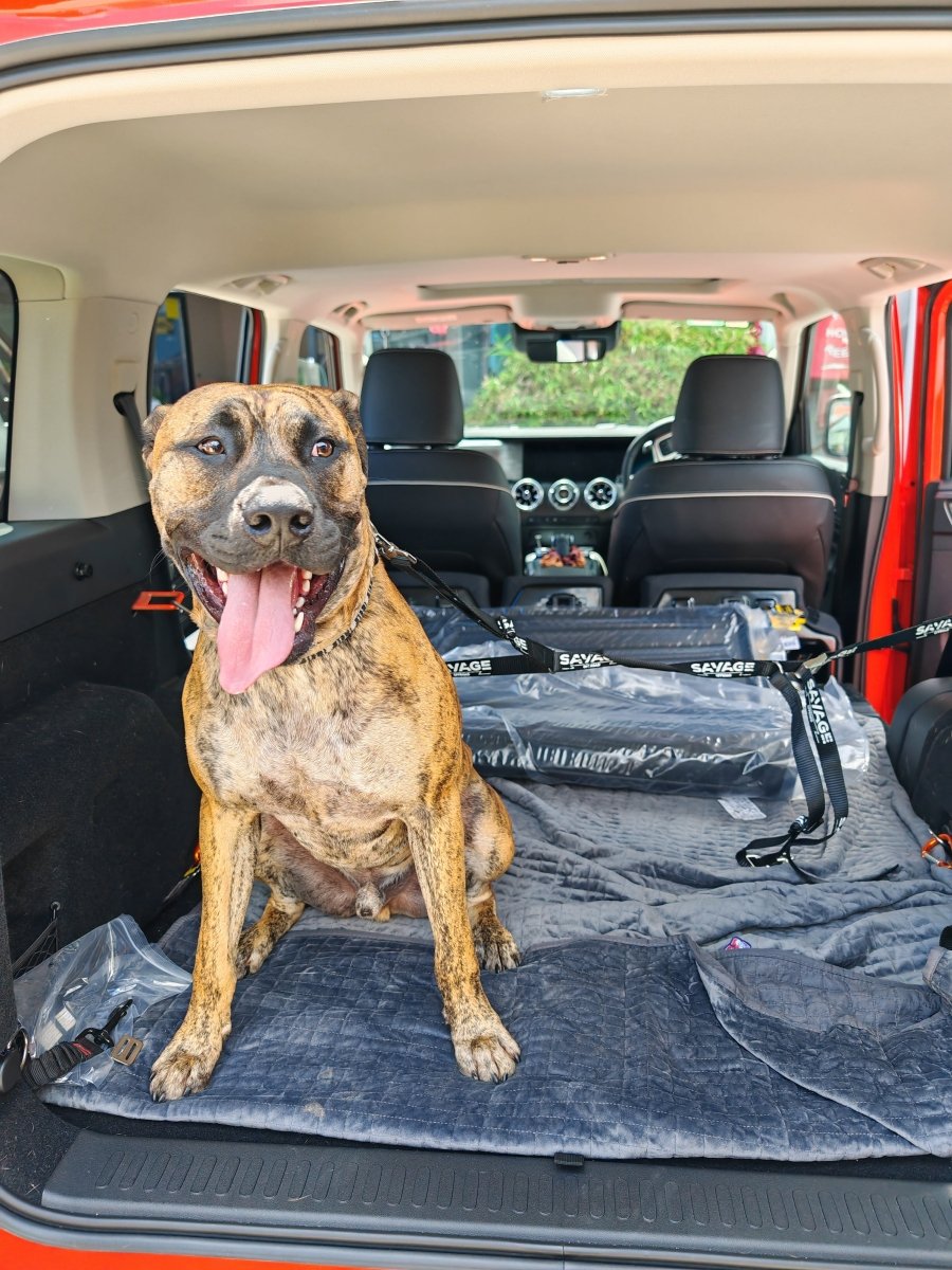 TANK 300 DOG CENTRE HARNESS - Savage Tech Australia