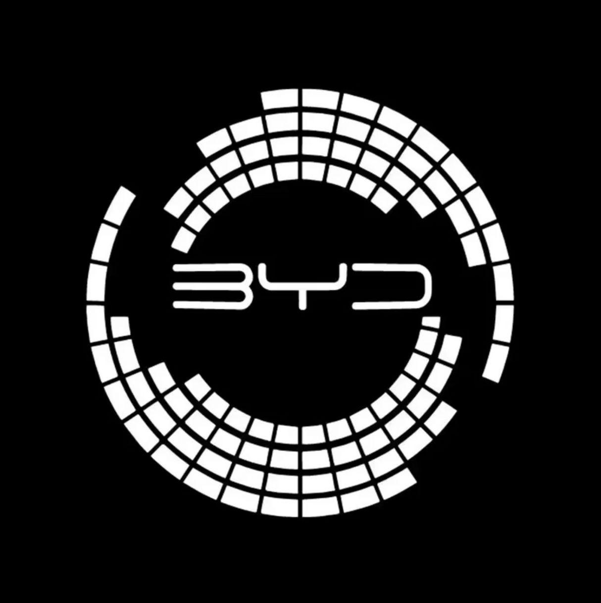 BYD PUDDLE DOOR LIGHTS