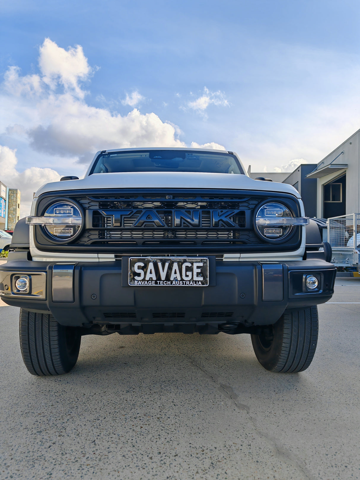 GWM TANK 300 GRILLE with "TANK" logo #2