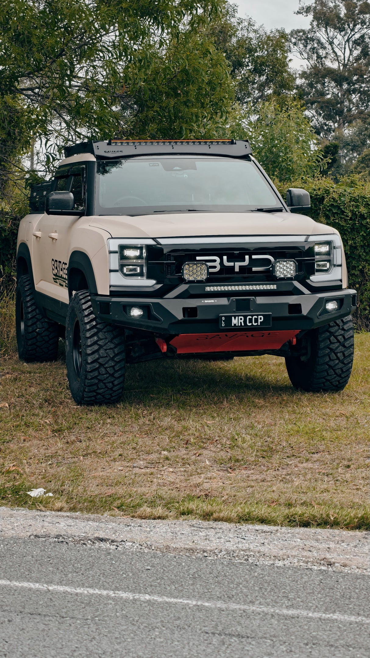 BYD SHARK 6 SAVAGE ATTACK HOOPLESS BAR