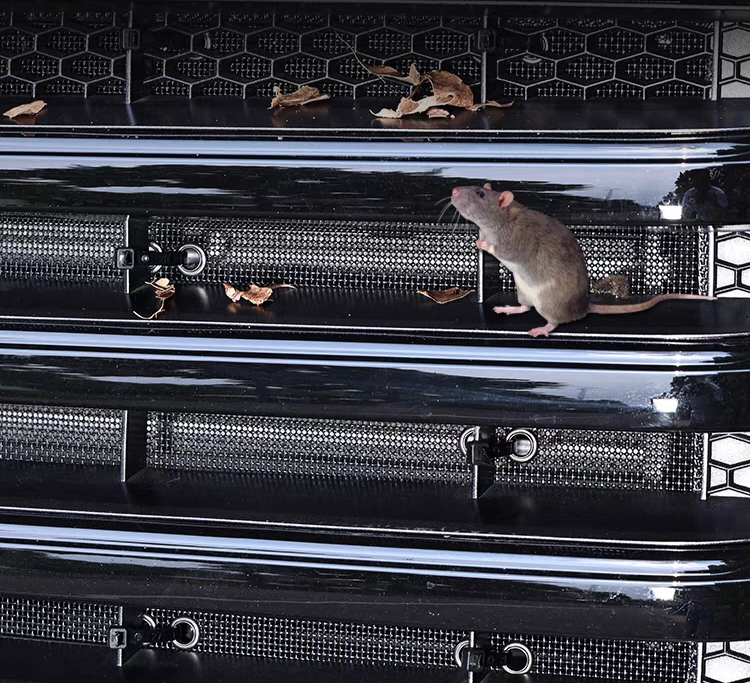 TANK 300 INSECT GRILLE MESH