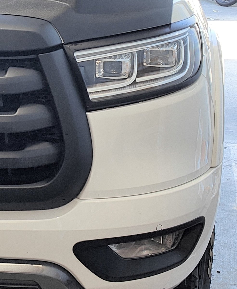 GWM CANNON 2020-2024 (PRE FACELIFT) FOG LIGHT SURROUND BLACK - Savage Tech Australia