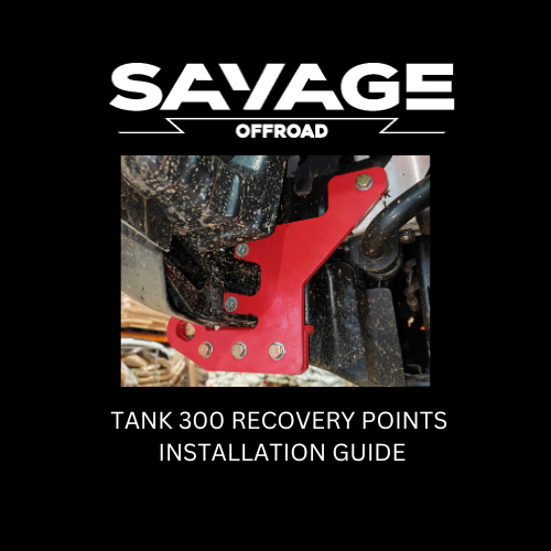 TANK 300 RECOVERY POINTS