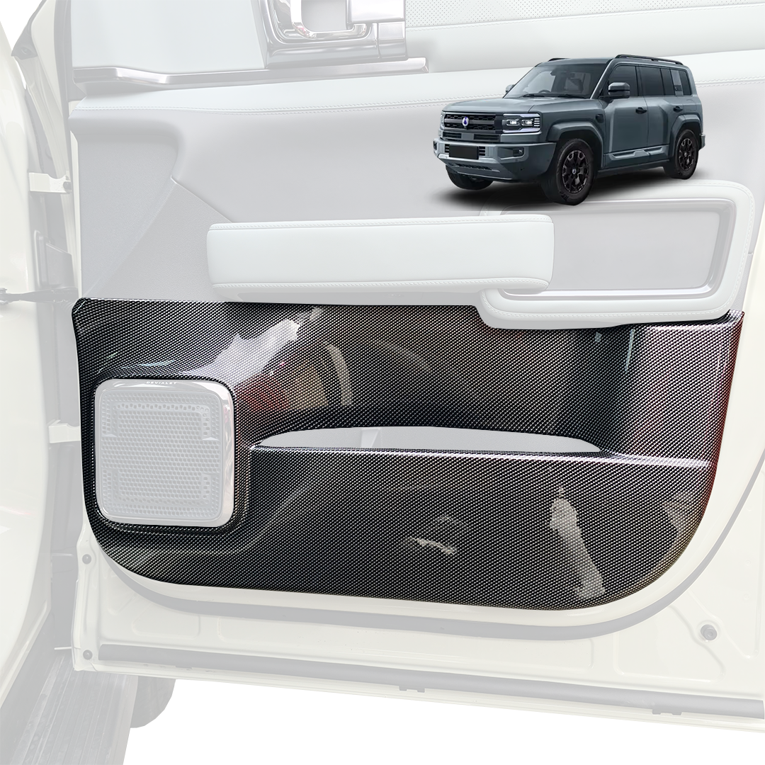 CARBON SERIES DOOR CARD SCUFF PROTECTORS  DENZA B5 2026+