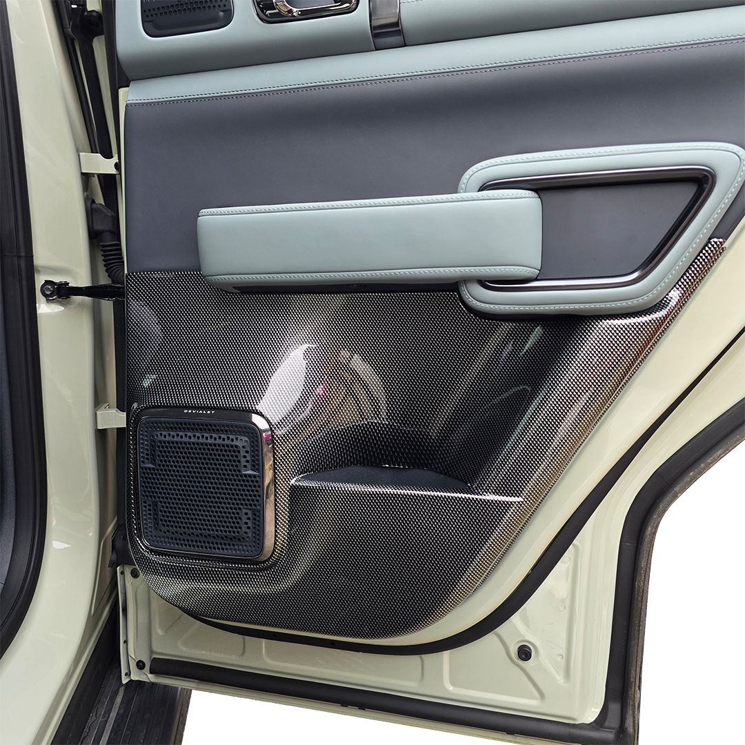 CARBON SERIES DOOR CARD SCUFF PROTECTORS  DENZA B5 2026+