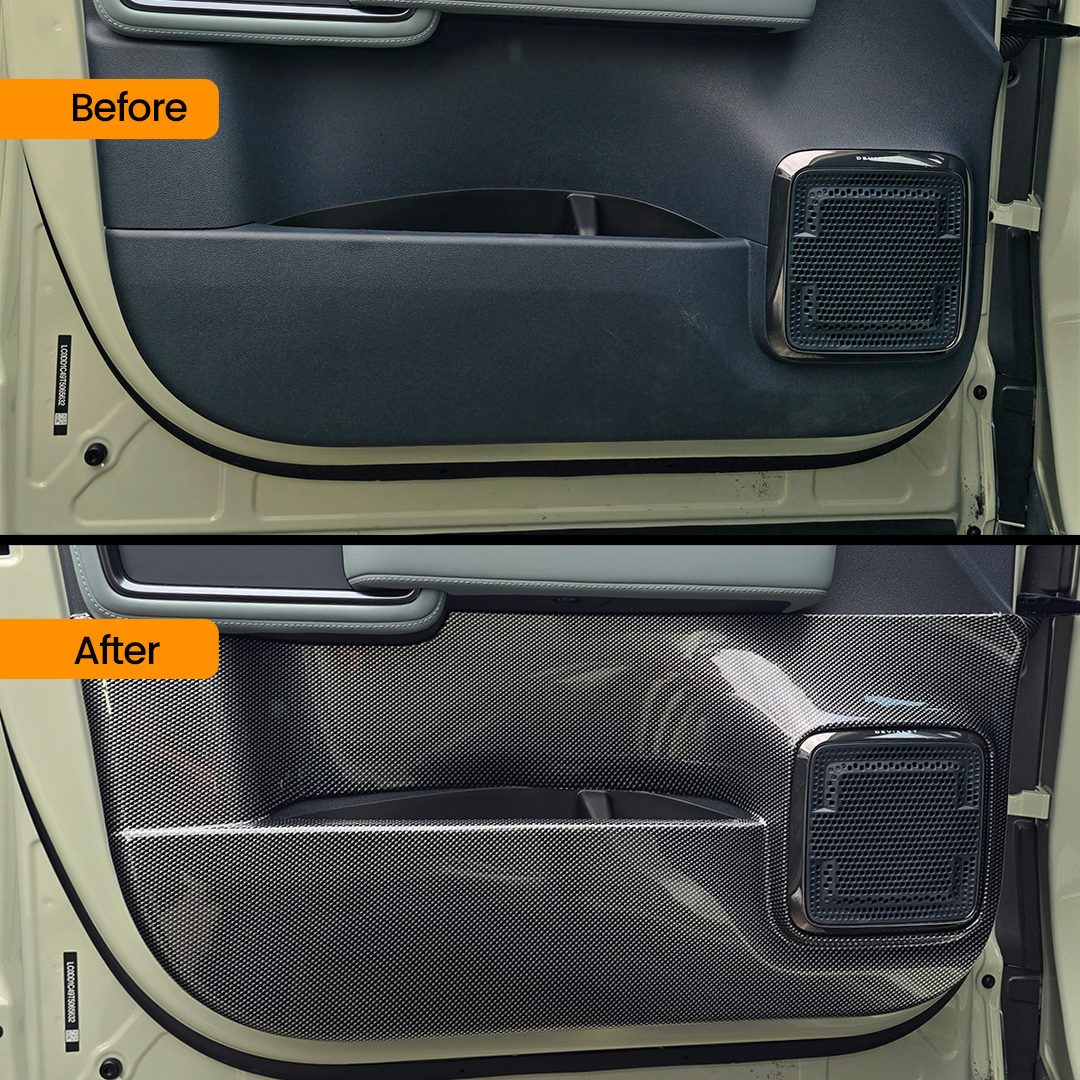 CARBON SERIES DOOR CARD SCUFF PROTECTORS  DENZA B5 2026+
