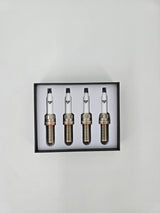 TANK 300 DOUBLE IRIDIUM SPARK PLUGS (4 PACK)