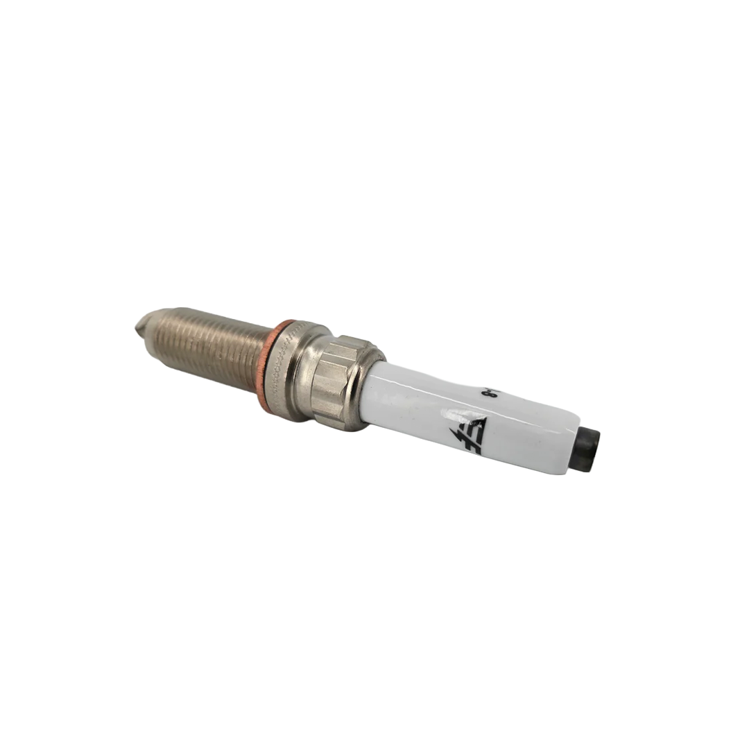 TANK 300 DOUBLE IRIDIUM SPARK PLUGS (4 PACK)