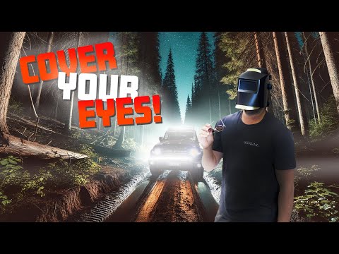 SAVAGE IMPACT NUDGE BAR (OPTIONAL LIGHT BAR AVAILABLE)