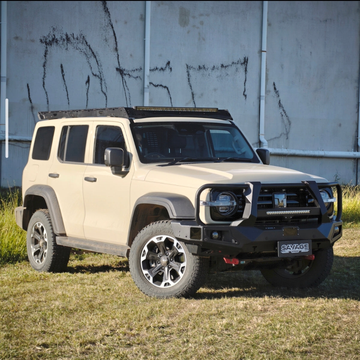 TANK 300 ARMOUR (HOOPED) BULL BAR ALL MODELS